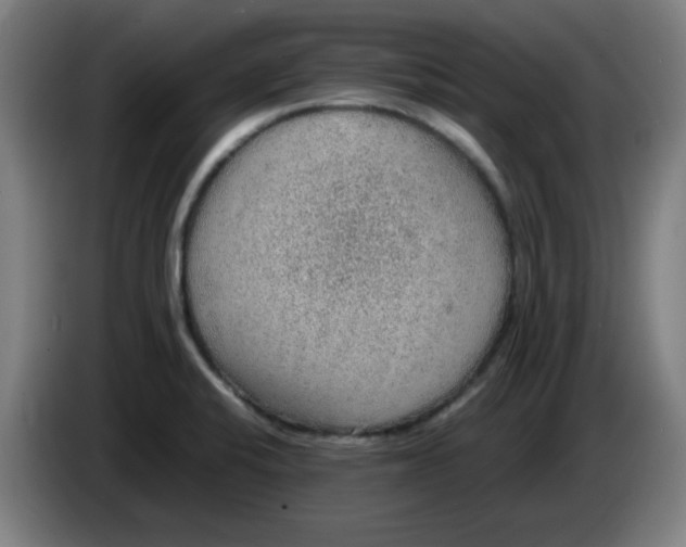 X0000086231424200704191750