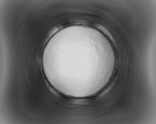 X0000086231425200704191750