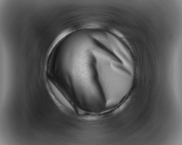 X0000086231426200704191750