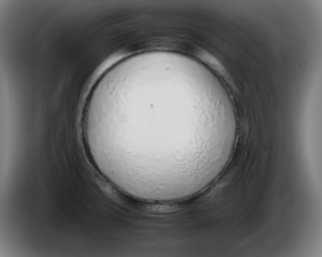 X0000086231427200704191750