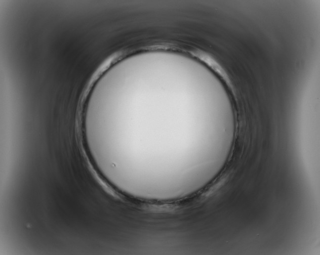 X0000086231429200704191750