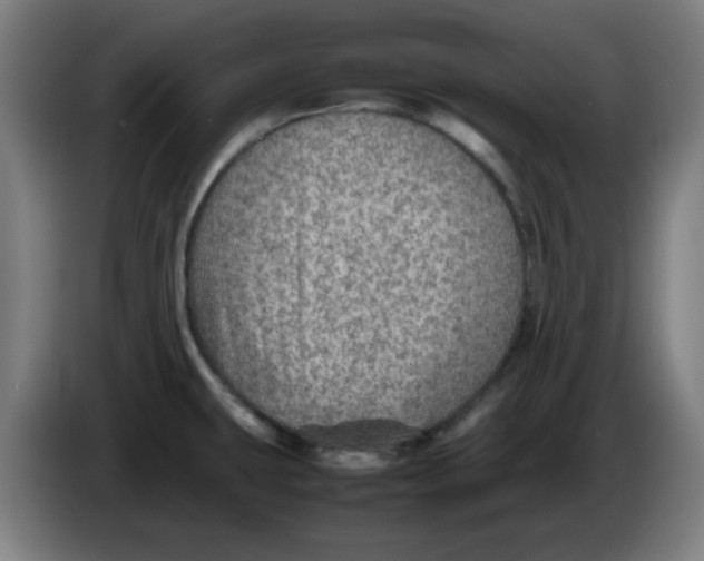 X0000086231431200704191750