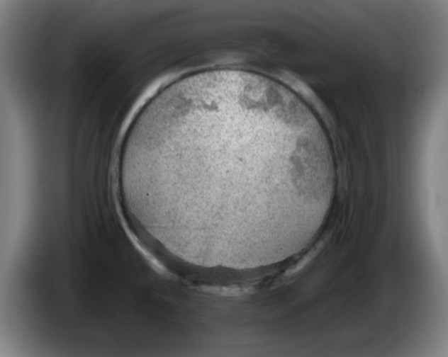 X0000086231432200704191750