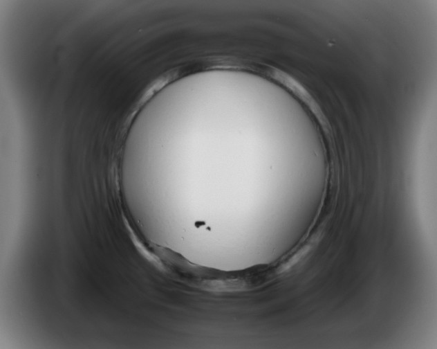 X0000086231433200704191750