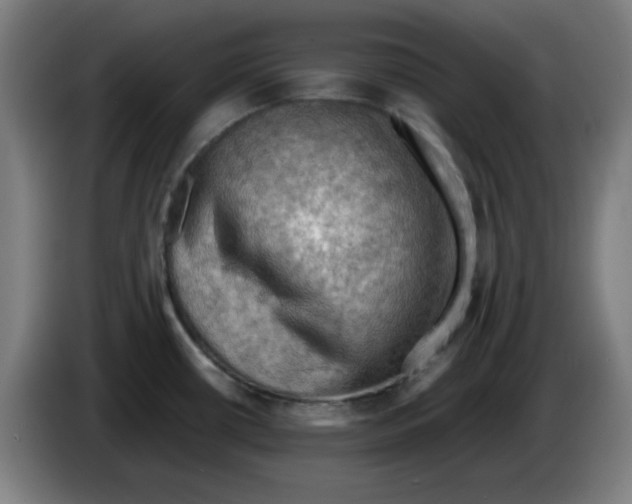 X0000086231434200704191750