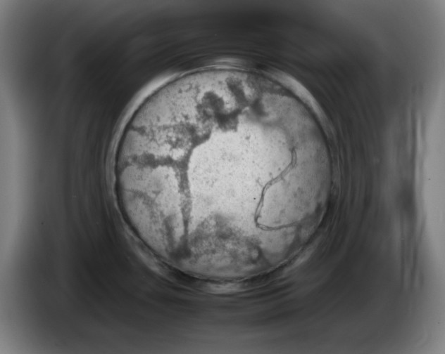 X0000086231435200704191750