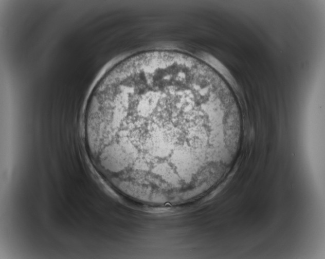 X0000086231436200704191750