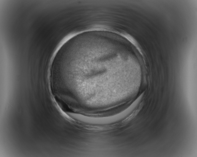 X0000086231438200704191750