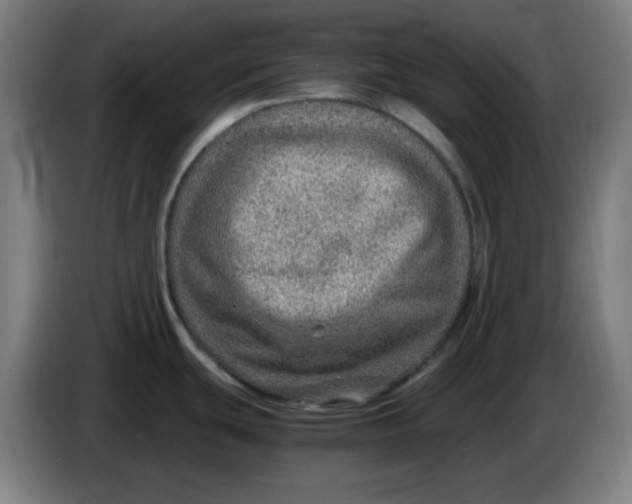 X0000086231439200704191750