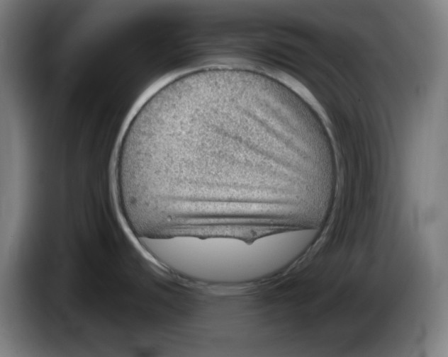 X0000086231440200704191750