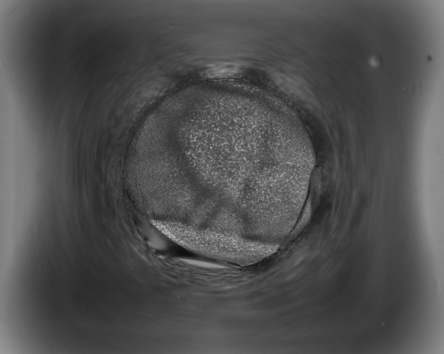 X0000086231441200704191749