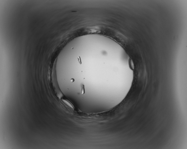 X0000086231442200704191749