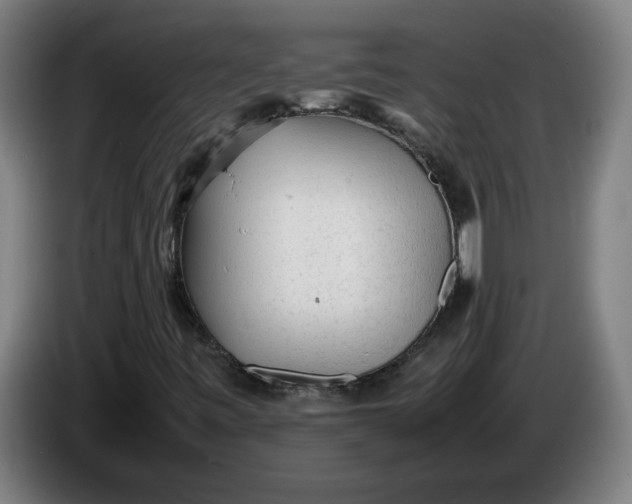 X0000086231443200704191749