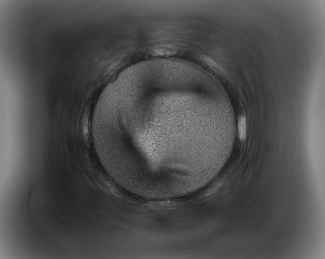 X0000086231444200704191749