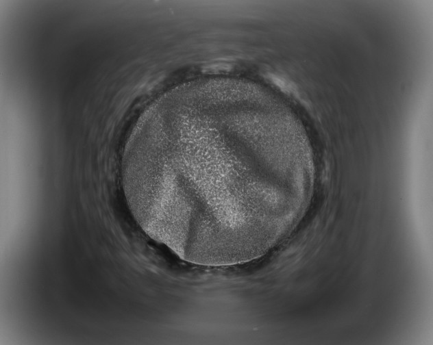 X0000086231445200704191749