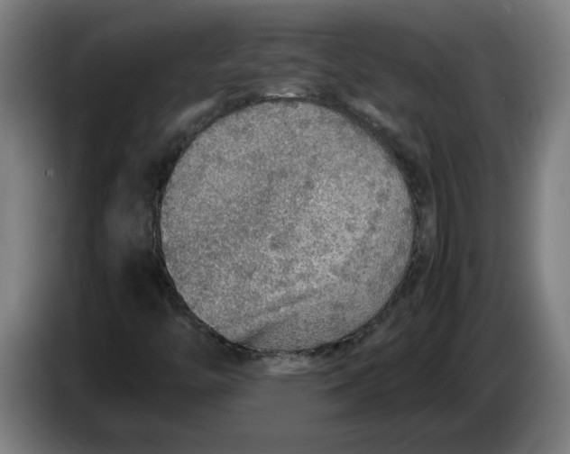 X0000086231446200704191749