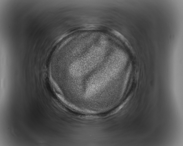 X0000086231449200704191749