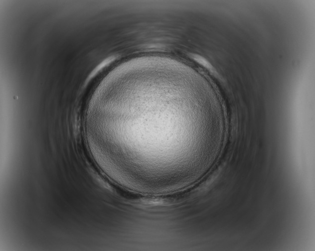 X0000086231450200704191749