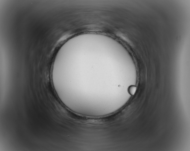 X0000086231451200704191749