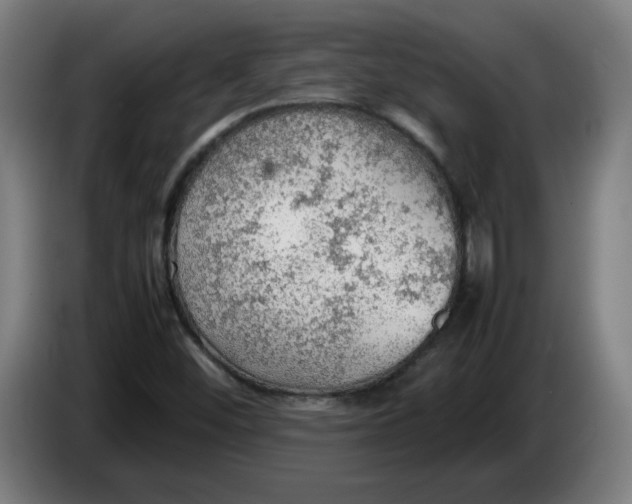 X0000086231452200704191749