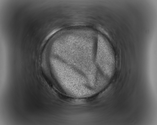 X0000086231453200704191749