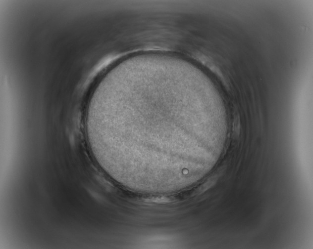 X0000086231454200704191749