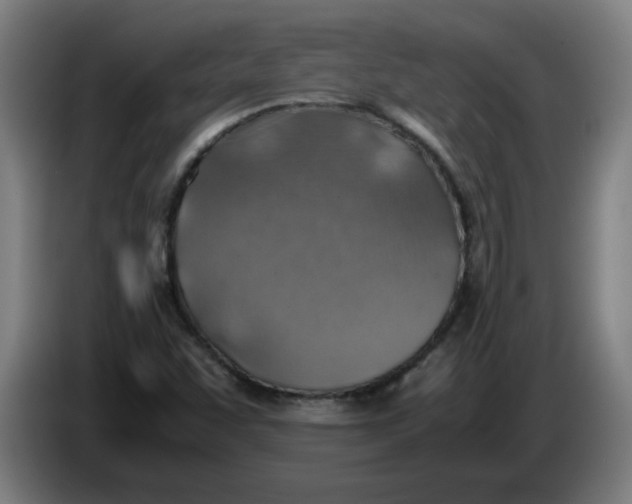 X0000086231455200704191749