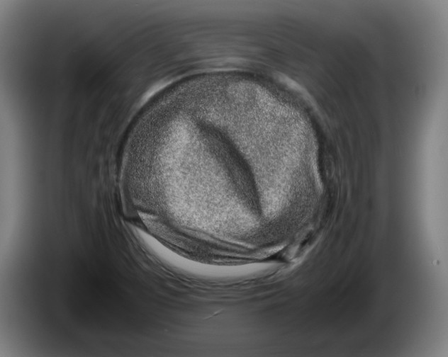 X0000086231457200704191749