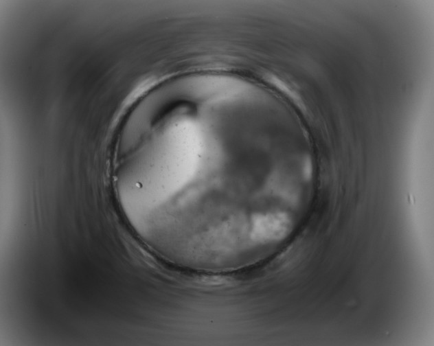 X0000086231459200704191749