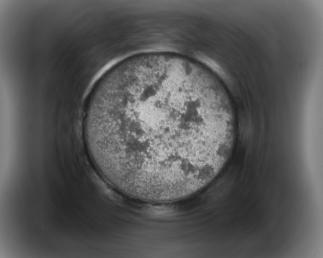 X0000086231460200704191749