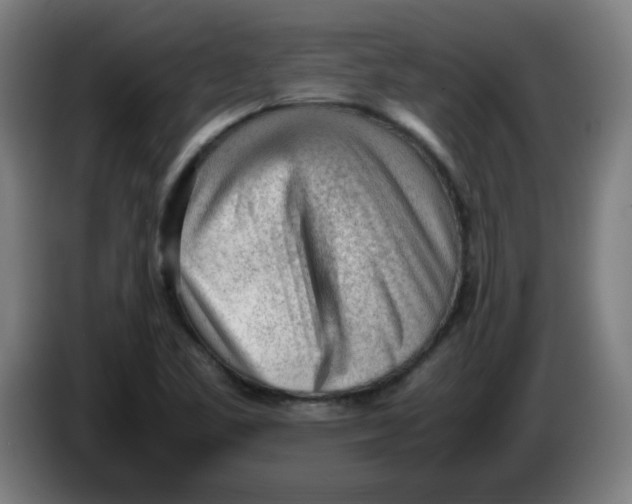 X0000086231461200704191749