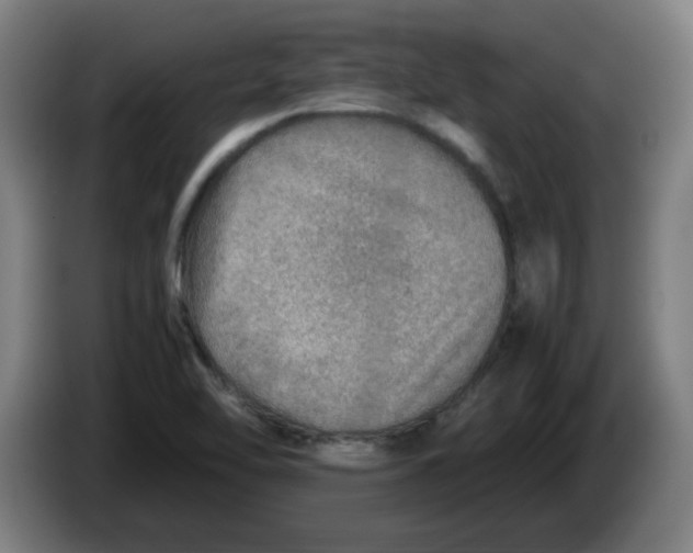 X0000086231462200704191749