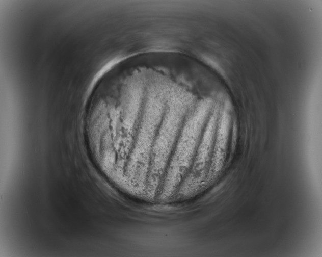 X0000086231463200704191749