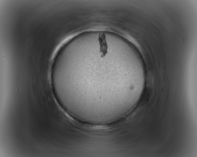 X0000086231464200704191749