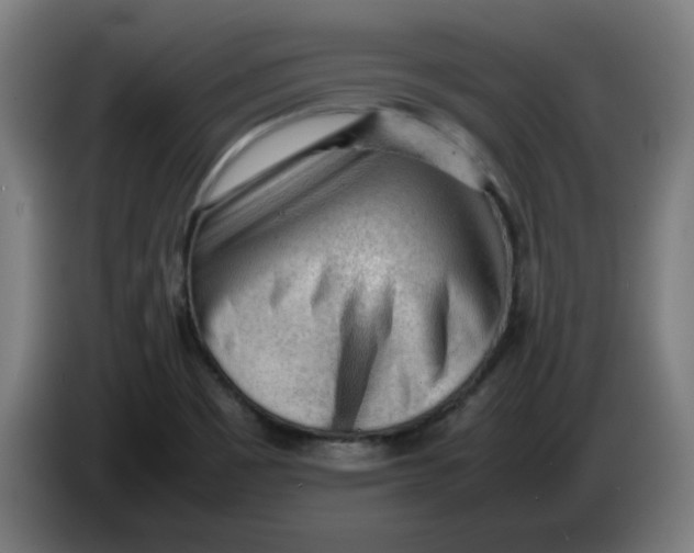 X0000086231465200704191749