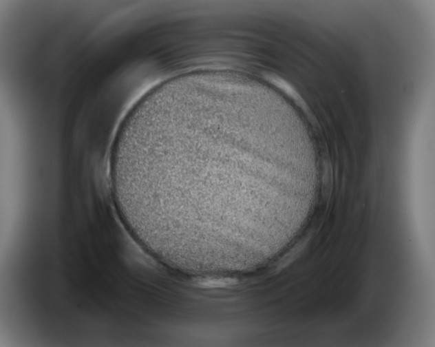 X0000086231466200704191749