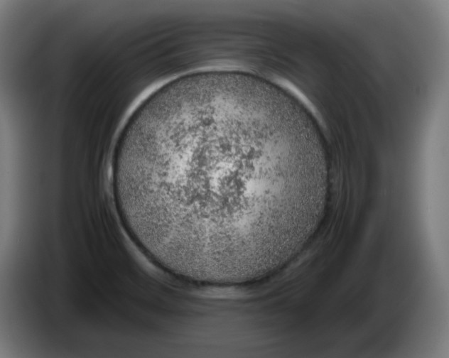 X0000086231468200704191749