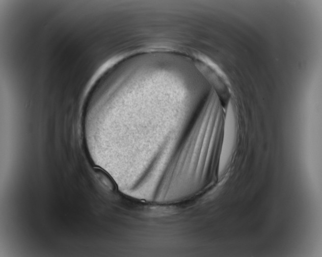 X0000086231469200704191749