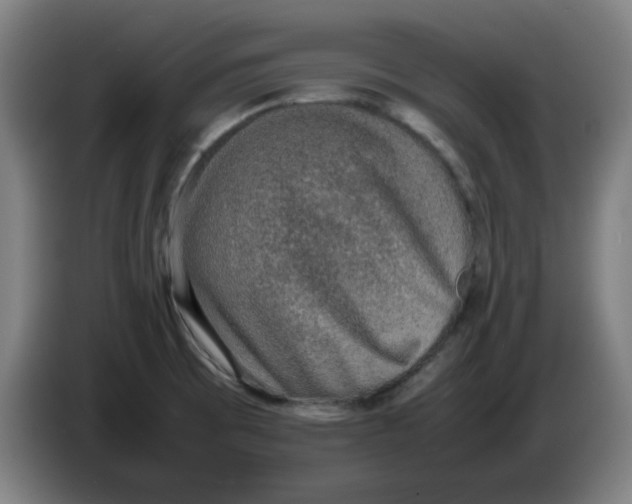 X0000086231473200704191749