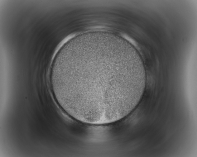 X0000086231474200704191749