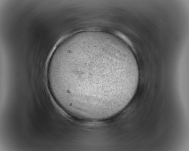 X0000086231475200704191749