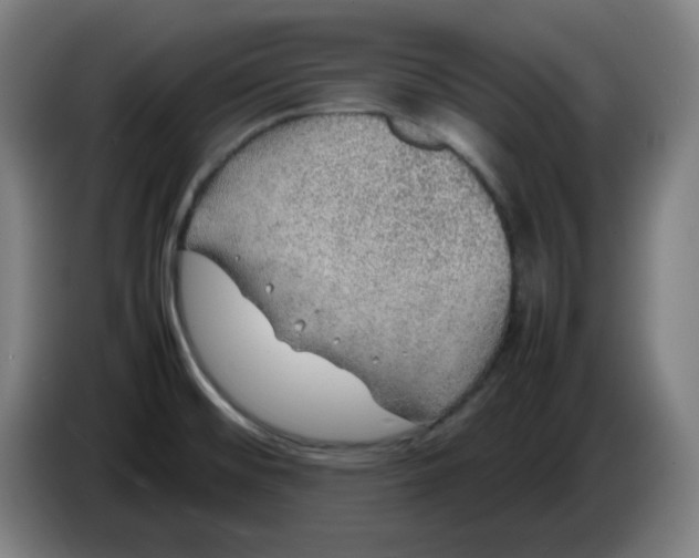 X0000086231476200704191749