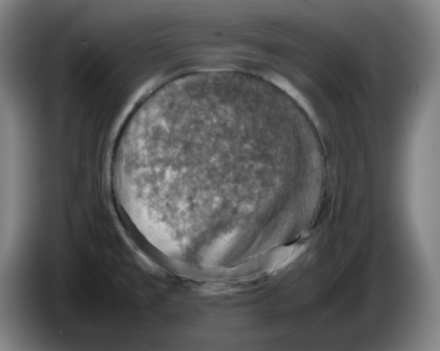 X0000086231477200704191749