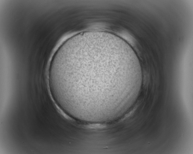 X0000086231478200704191749