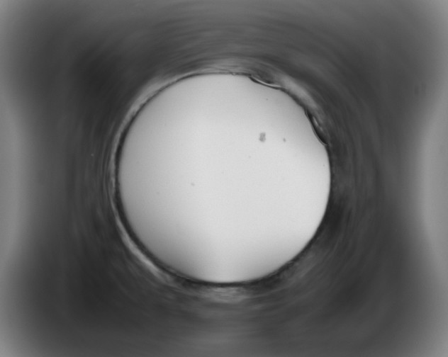 X0000086231479200704191749