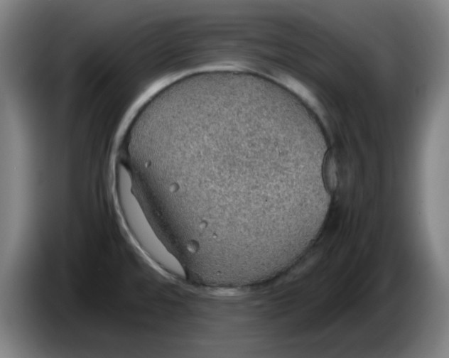 X0000086231480200704191749