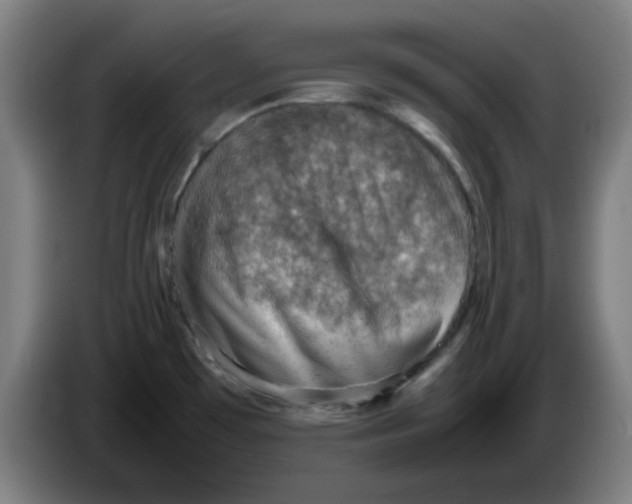 X0000086231481200704191749