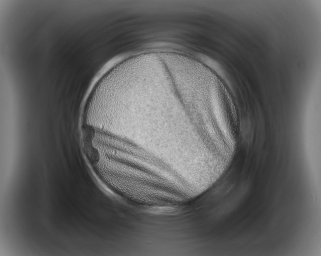 X0000086231482200704191749