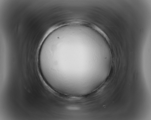 X0000086231483200704191749