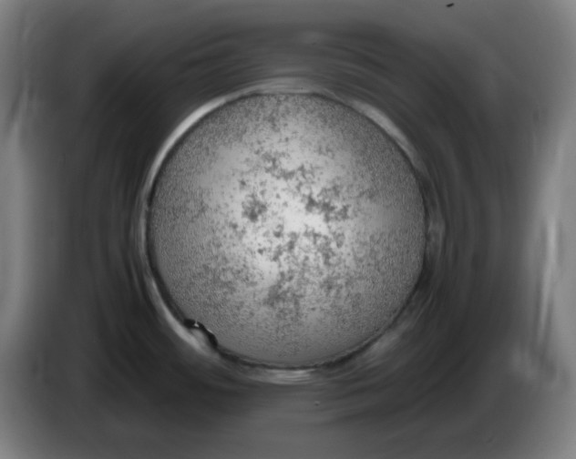 X0000086231484200704191749